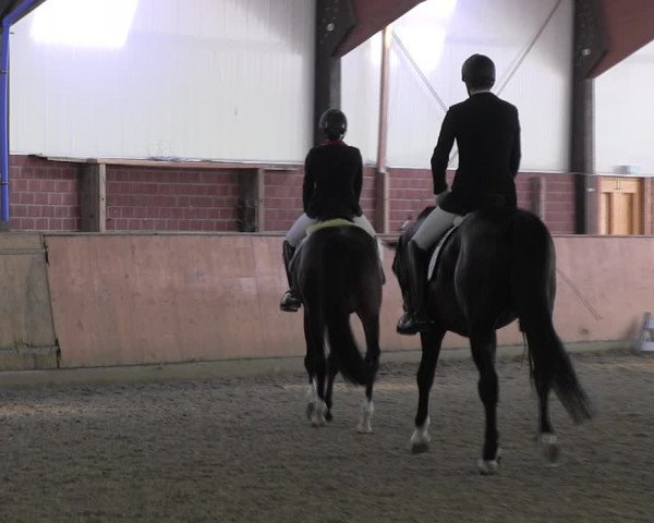Reitturnier Iserlohn-Kalthof 2017