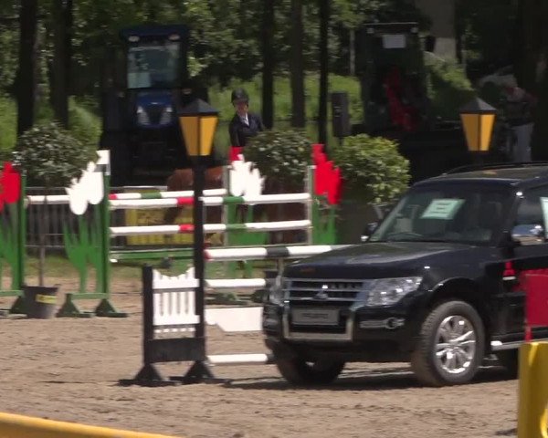 Reitturnier Mönchengladbach-Wickrath 2017