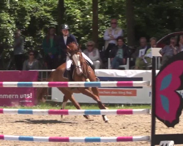 Reitturnier Mönchengladbach-Wickrath 2017