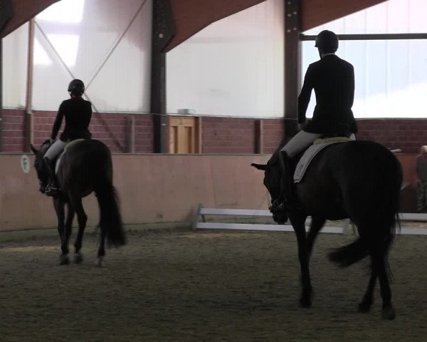 Reitturnier Iserlohn-Kalthof 2017