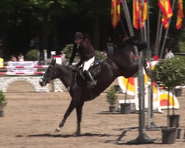 Reitturnier Mönchengladbach-Wickrath 2017
