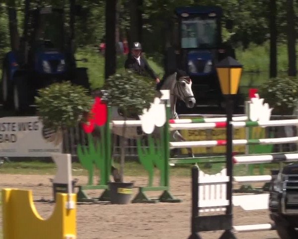 Reitturnier Mönchengladbach-Wickrath 2017