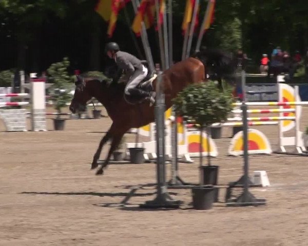 Reitturnier Mönchengladbach-Wickrath 2017