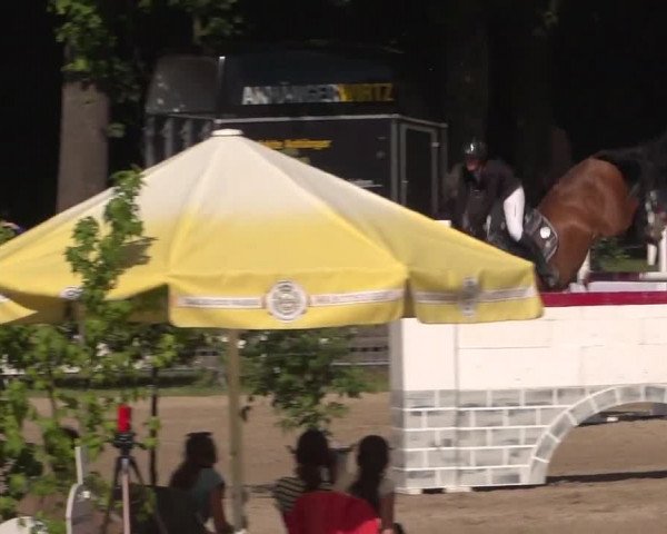 Reitturnier Mönchengladbach-Wickrath 2017