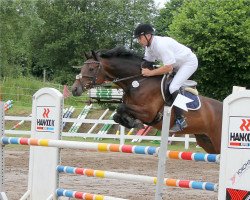 jumper Lantina 8 (Oldenburg, 2010, from Lantino 25)