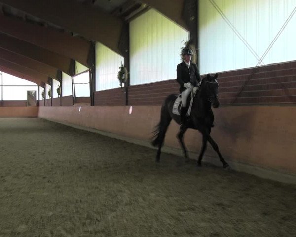 Reitturnier Iserlohn-Kalthof 2017