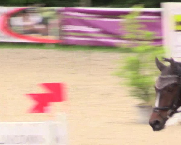 Reitturnier Bochum-Nord 2017