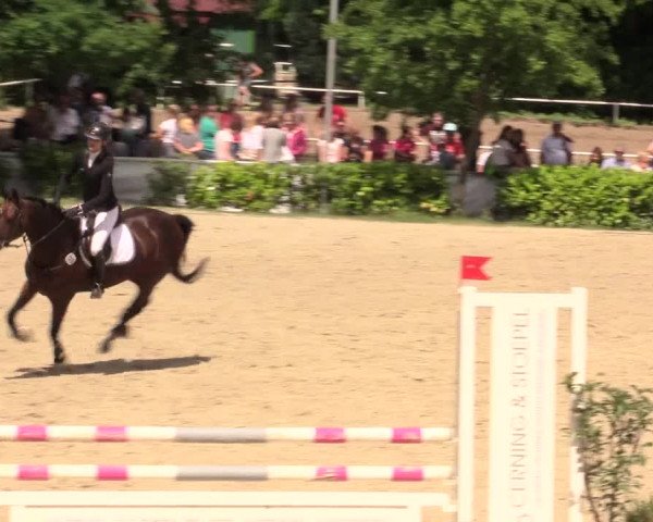 Reitturnier Bochum-Nord 2017