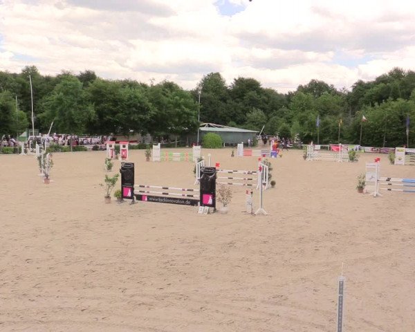 Reitturnier Bochum-Nord 2017
