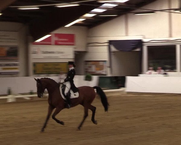 Reitturnier Borken 2017