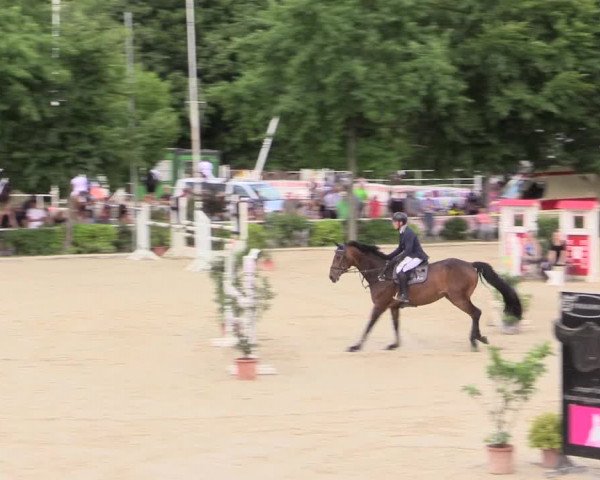Reitturnier Bochum-Nord 2017