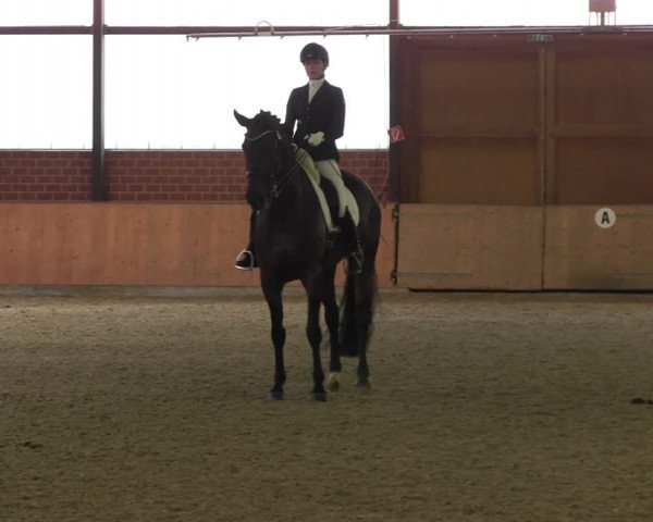 Reitturnier Iserlohn-Kalthof 2017