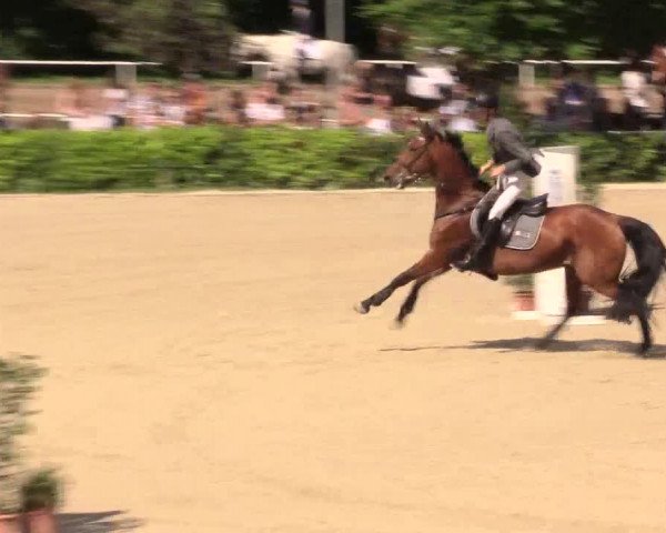 Reitturnier Bochum-Nord 2017