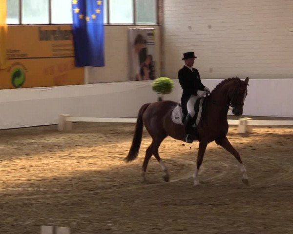 Reitturnier Borken 2017