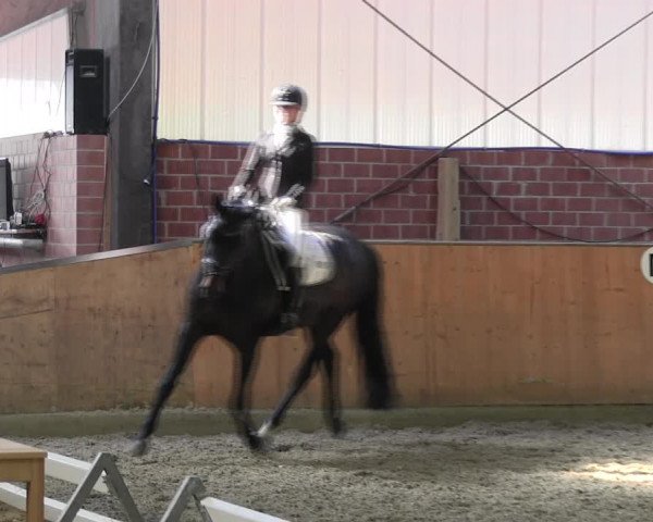 Reitturnier Iserlohn-Kalthof 2017