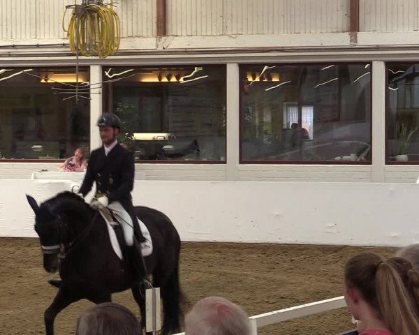 Reitturnier Borken 2017