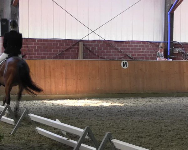 Reitturnier Iserlohn-Kalthof 2017