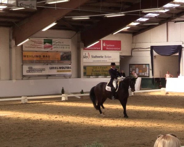 Reitturnier Borken 2017