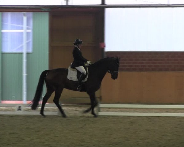 Reitturnier Iserlohn-Kalthof 2017