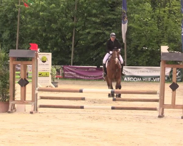Reitturnier Bochum-Nord 2017