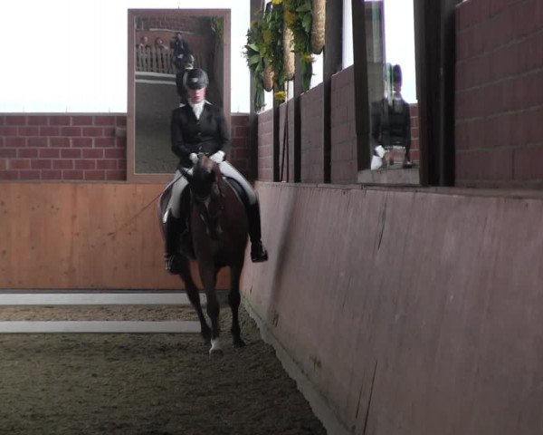 Reitturnier Iserlohn-Kalthof 2017