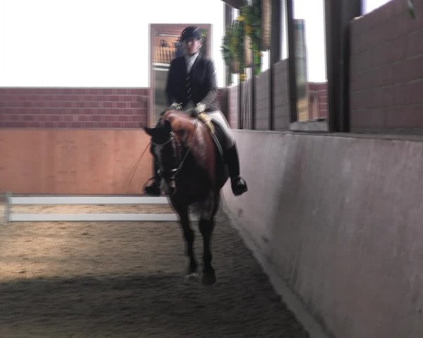 Reitturnier Iserlohn-Kalthof 2017