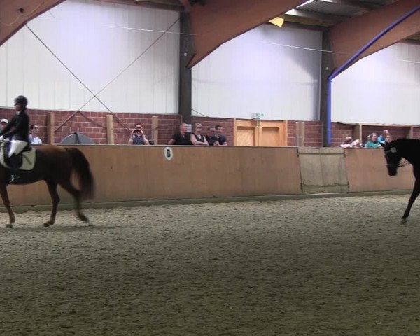 Reitturnier Iserlohn-Kalthof 2017
