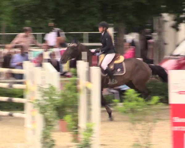 Reitturnier Bochum-Nord 2017