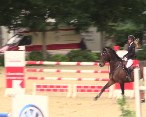 Reitturnier Bochum-Nord 2017