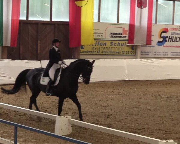 Reitturnier Borken 2017
