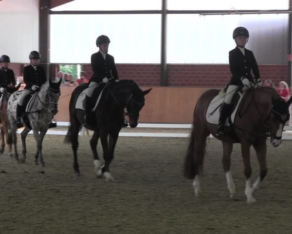 Reitturnier Iserlohn-Kalthof 2017