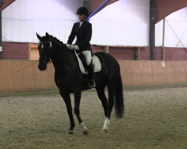 Reitturnier Iserlohn-Kalthof 2017