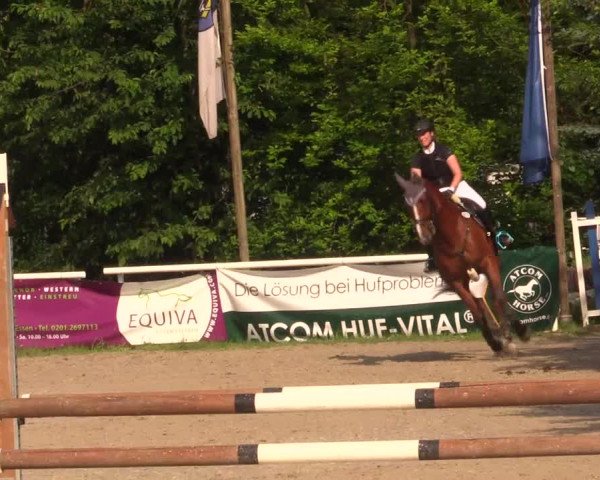 Reitturnier Bochum-Nord 2017