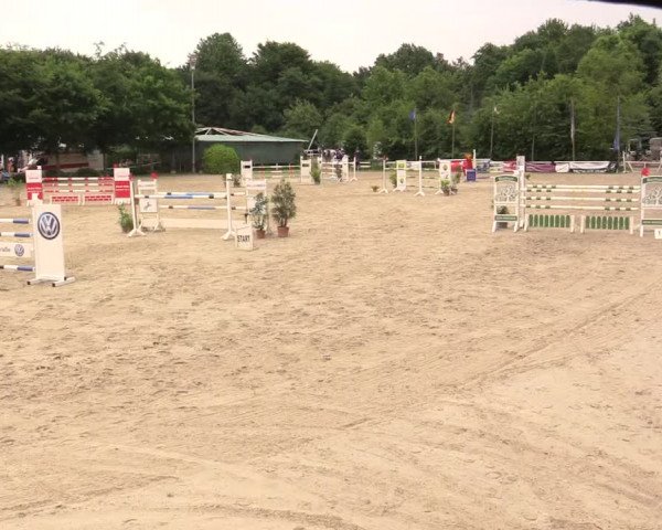 Reitturnier Bochum-Nord 2017