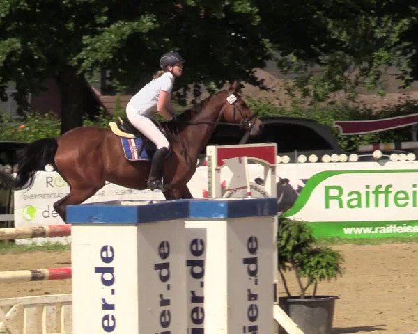 Reitturnier Iserlohn-Kalthof 2017