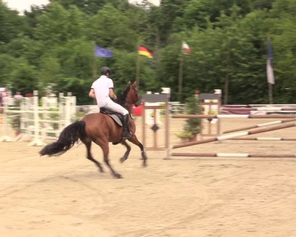Reitturnier Bochum-Nord 2017