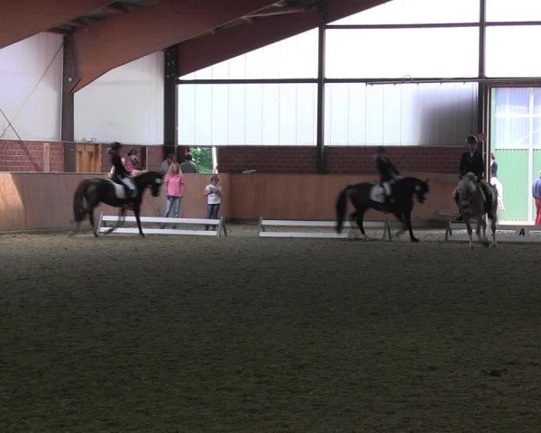 Reitturnier Iserlohn-Kalthof 2017