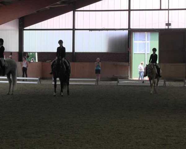 Reitturnier Iserlohn-Kalthof 2017