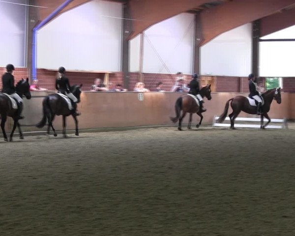 Reitturnier Iserlohn-Kalthof 2017