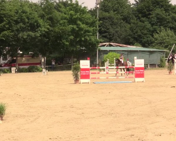 Reitturnier Bochum-Nord 2017