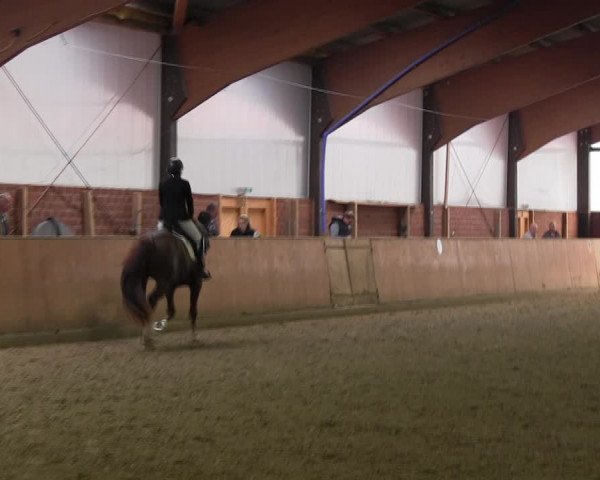 Reitturnier Iserlohn-Kalthof 2017