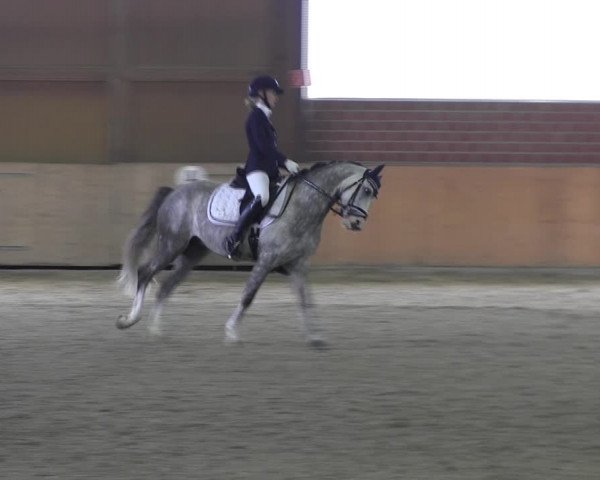 Reitturnier Iserlohn-Kalthof 2017