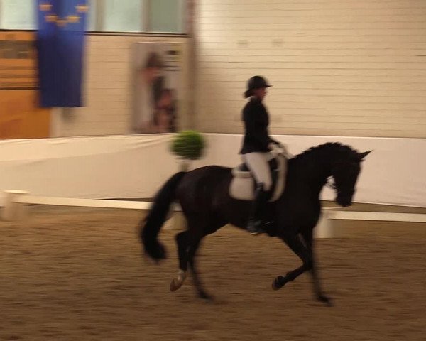 Reitturnier Borken 2017