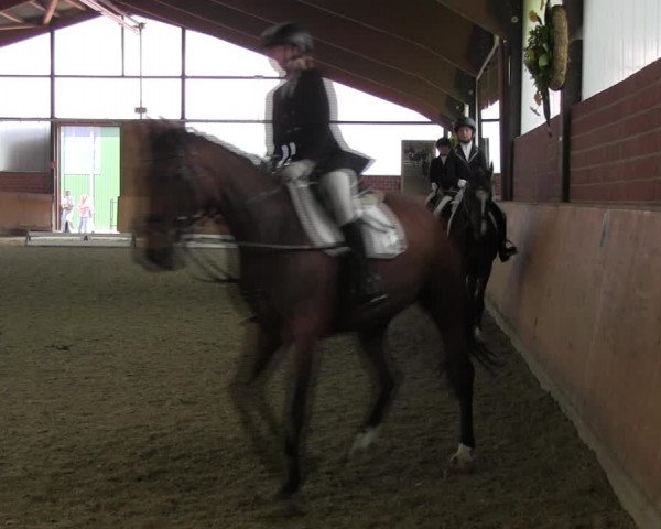 Reitturnier Iserlohn-Kalthof 2017