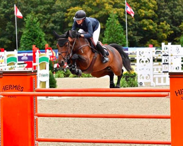 jumper Sari (Selle Français, 2008, from Ninio de Rox)