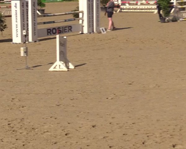 Reitturnier Iserlohn-Kalthof 2017