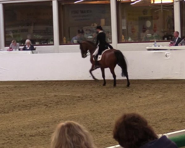 Reitturnier Borken 2017