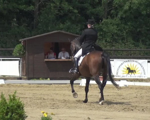 Reitturnier Frechen-Grefrath - Sonnenhof 2017