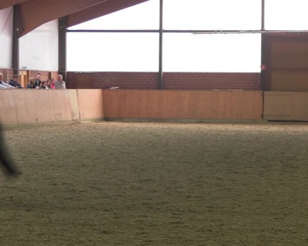 Reitturnier Iserlohn-Kalthof 2017