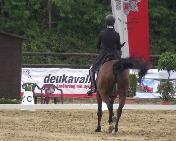 Reitturnier Frechen-Grefrath - Sonnenhof 2017